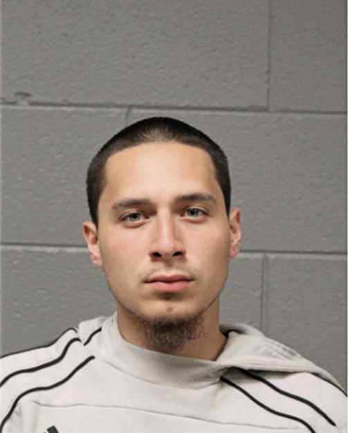 DAVID R ORTIZ, Cook County, Illinois