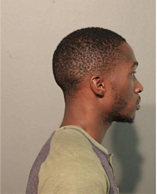 WALTER L RAYFORD, Cook County, Illinois