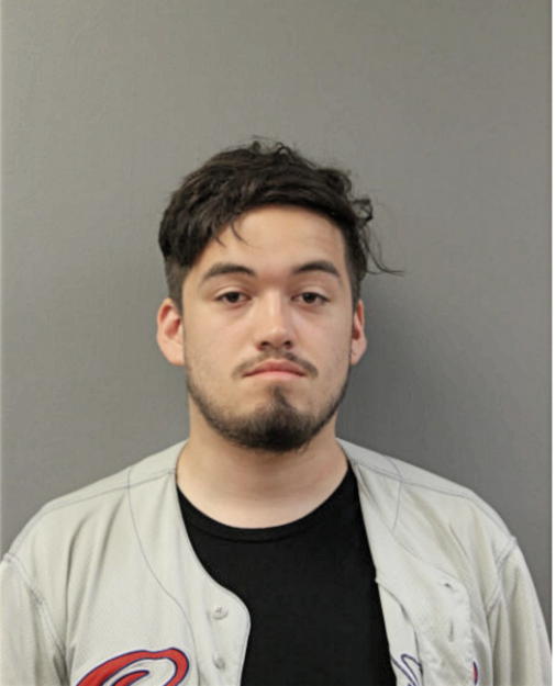 JULIAN RUIZ, Cook County, Illinois