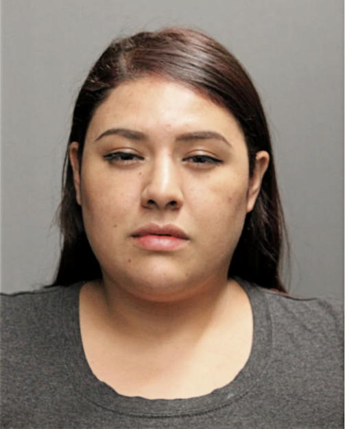 NATALIE SANCHEZ, Cook County, Illinois