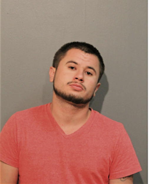 JUAN A SERRANO, Cook County, Illinois