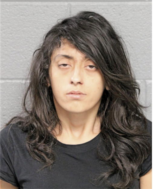 ROSALINA SOLIS, Cook County, Illinois