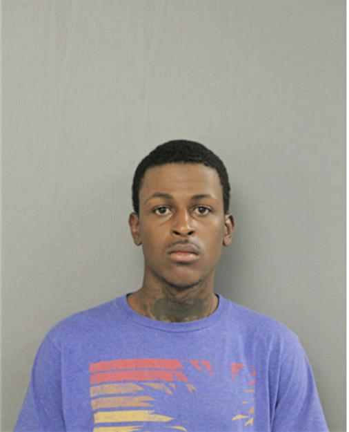 JAMES J WHITEHEAD, Cook County, Illinois