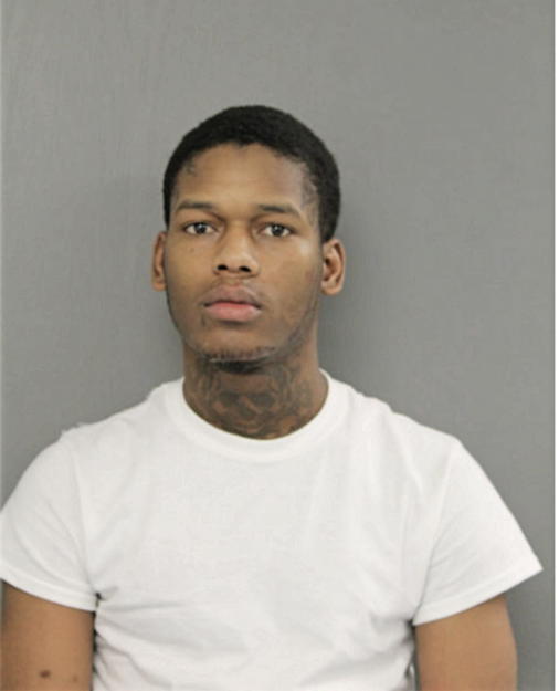 WILLIE J AKINS, Cook County, Illinois