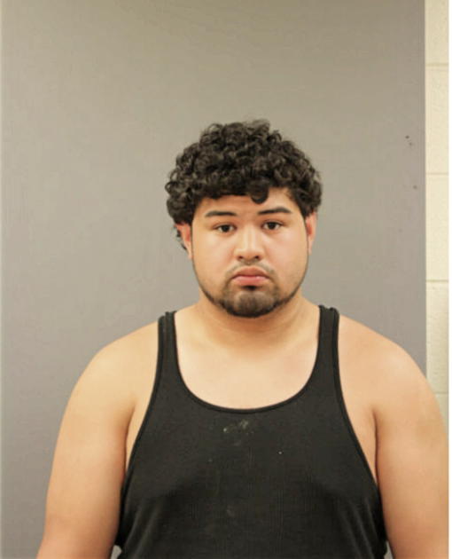 HERALDO ALVAREZ, Cook County, Illinois