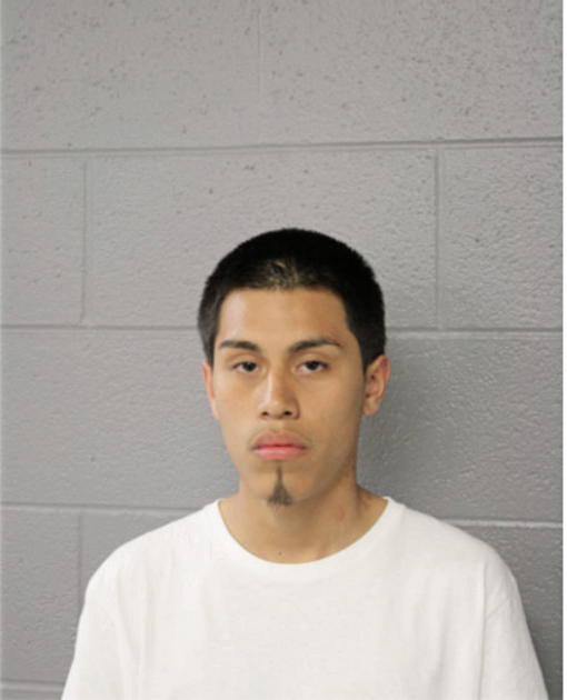 NOEL S ANDRADE, Cook County, Illinois