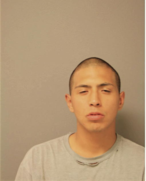 MIGUEL A ANTUNEZ, Cook County, Illinois