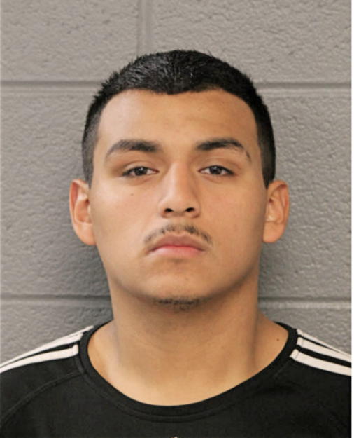 VICTOR ARRIETA, Cook County, Illinois