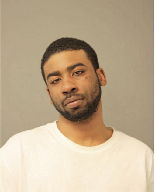 JOHN L BROWN, Cook County, Illinois