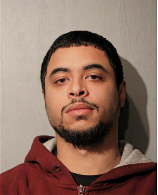 CHRISTOPHER F DAVIS, Cook County, Illinois