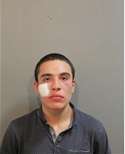 FLAVIO FLORES, Cook County, Illinois