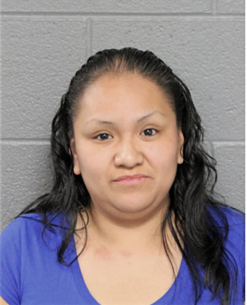 GUILLERMINA FLORES, Cook County, Illinois