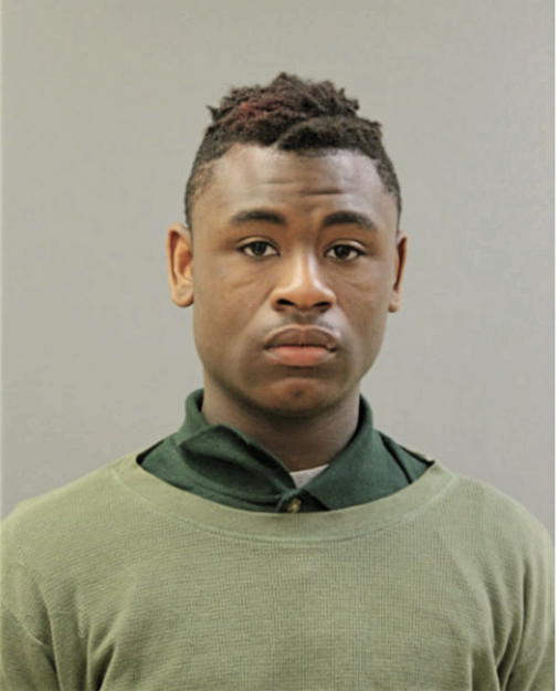 JOSEPH S HENDERSON, Cook County, Illinois