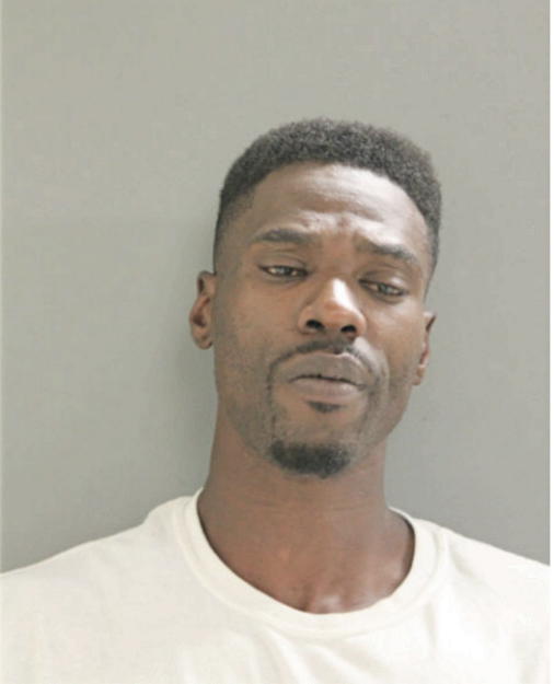 JOHNNIE W JOHNSON, Cook County, Illinois