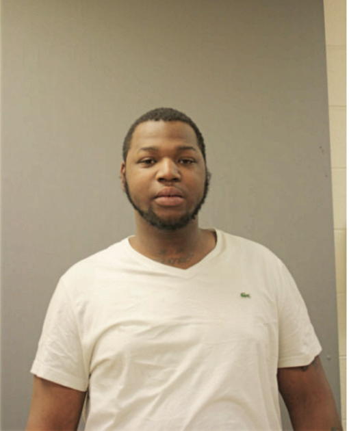 DEMETRIUS D LANE, Cook County, Illinois