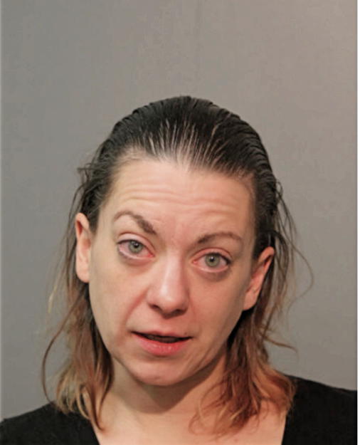AMANDA L LASKOWSKI, Cook County, Illinois