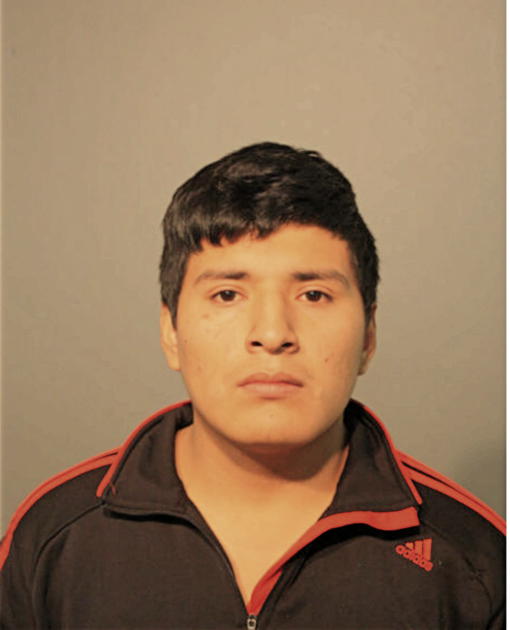 STEVE J LLAPA-FAJARDO, Cook County, Illinois