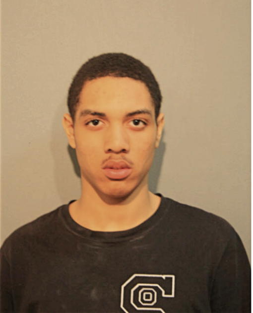 CAMERON S LOWE, Cook County, Illinois
