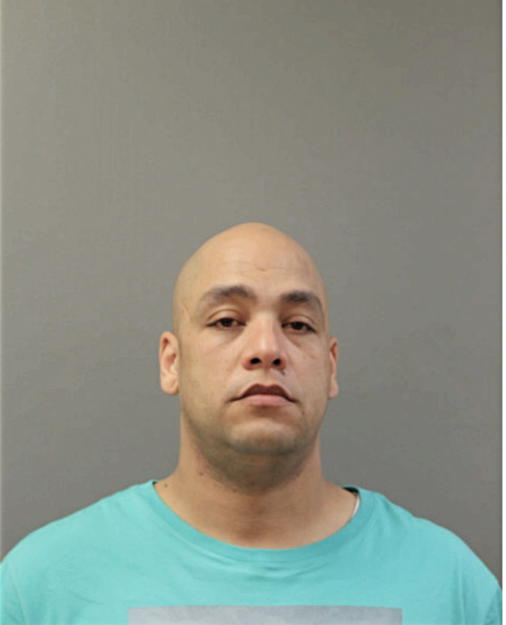 LUIS ERNESTO MELENDEZ, Cook County, Illinois