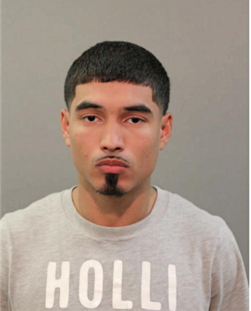 ANTHONY G MERCADO, Cook County, Illinois