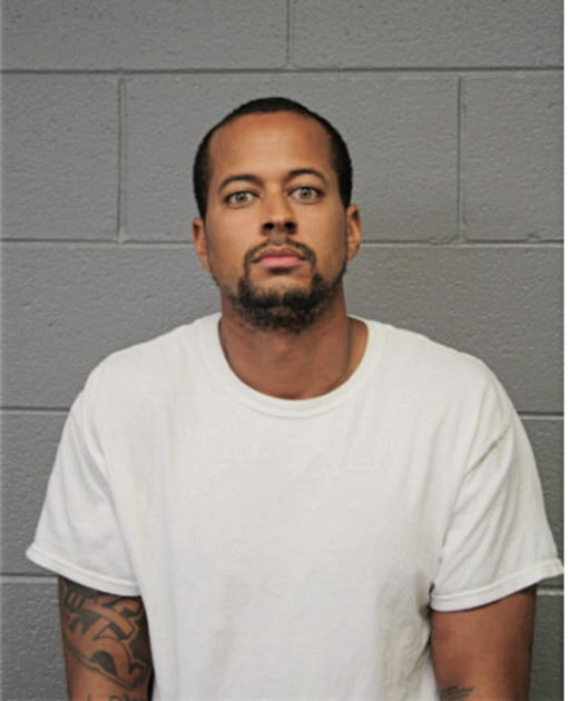 BRIAN R MERRITT, Cook County, Illinois