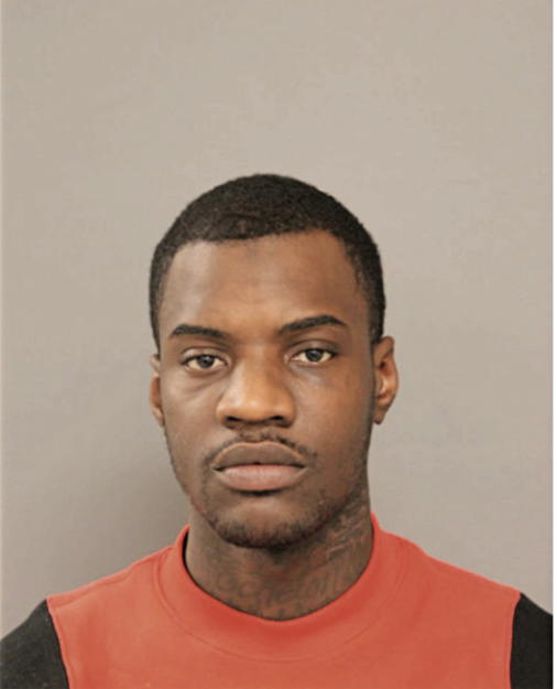 SHAWN D MONDIE, Cook County, Illinois