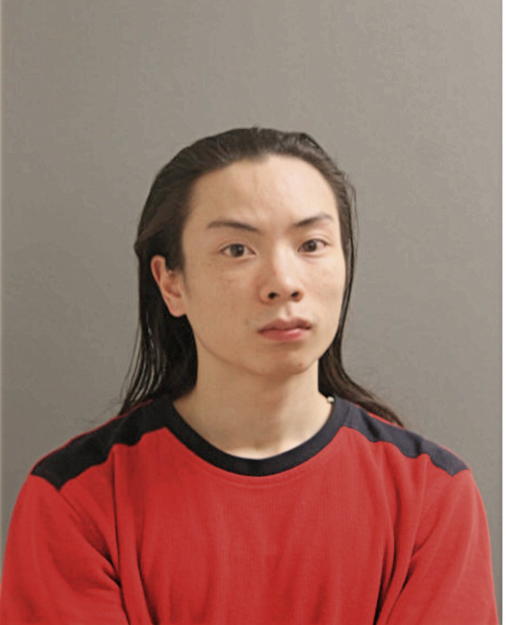 KEITH T NGUYEN, Cook County, Illinois