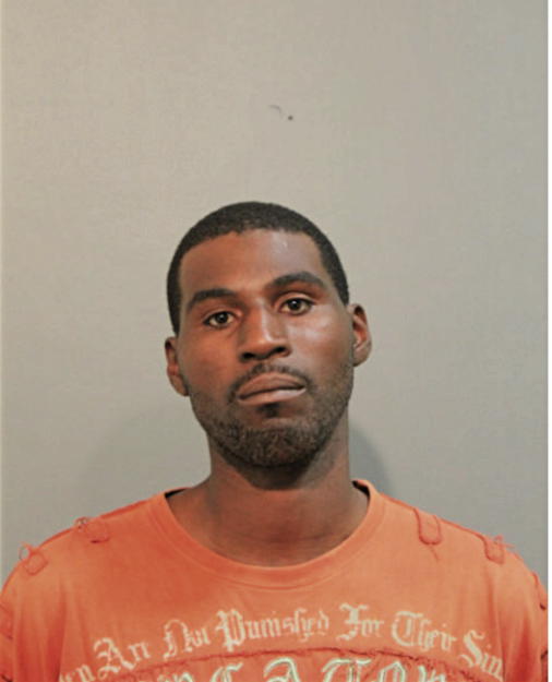 KENNETH T PAGE, Cook County, Illinois