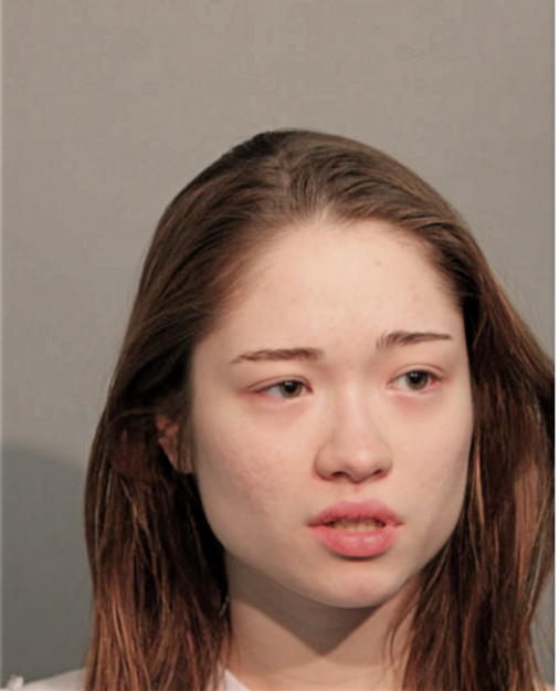 HANEMAS PANGESTU, Cook County, Illinois