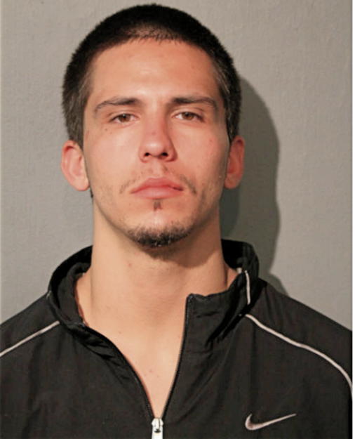 RUSSELL J RADEK, Cook County, Illinois