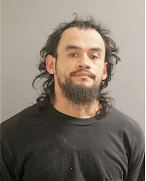 JUAN L RAMOS, Cook County, Illinois
