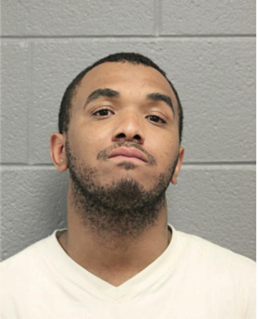MICHAEL H ROBERTS, Cook County, Illinois