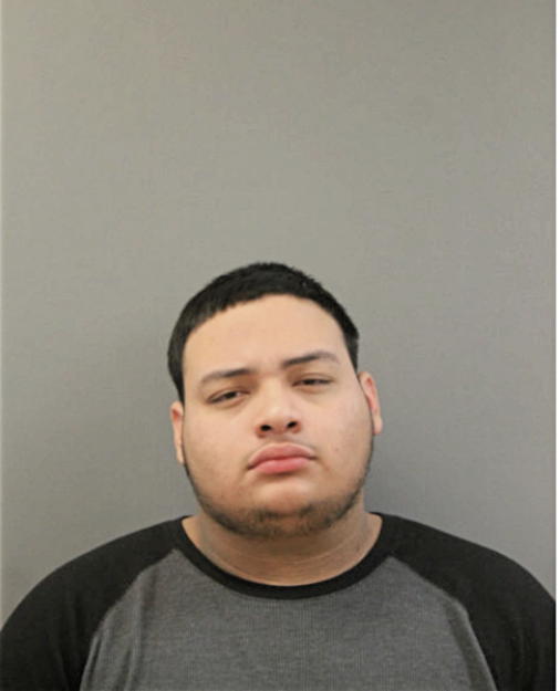 ERNESTO J RODRIGUEZ, Cook County, Illinois