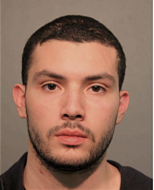 JUSTIN C RUIZ, Cook County, Illinois