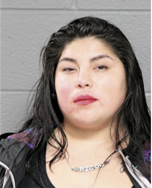 ALYSSA DELOS SANTOS, Cook County, Illinois