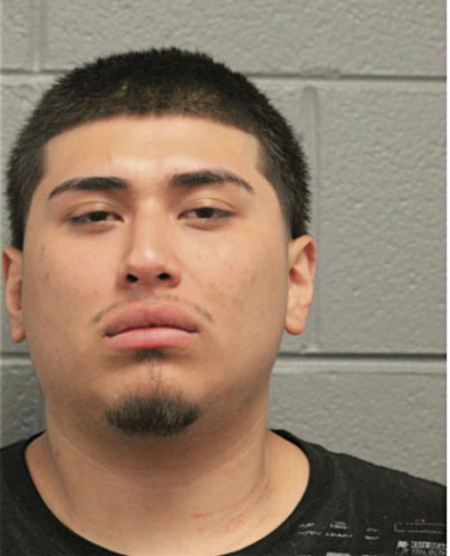 MICHAEL SIERRA, Cook County, Illinois