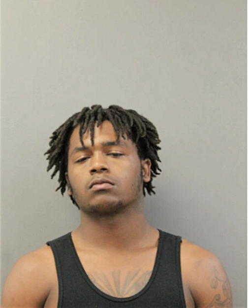 TAISEAN M STUBBLEFIELD, Cook County, Illinois