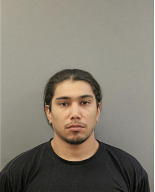 ELLIOT N VARGAS, Cook County, Illinois