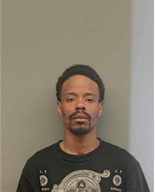 RONNIE WILLIAMS, Cook County, Illinois