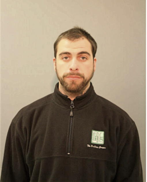 NICHOLAS A YOUNG, Cook County, Illinois