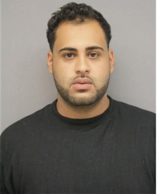 IBRAHIM M ZIADAH, Cook County, Illinois