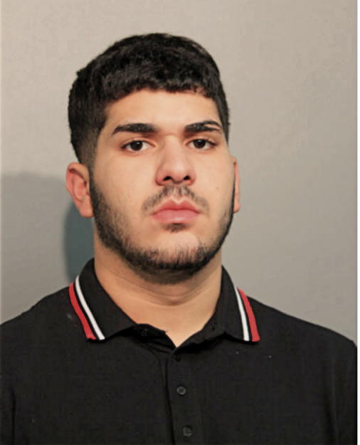 AYOUB M AFFANEH, Cook County, Illinois