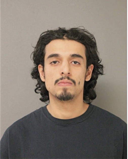 WILLIAM A ARCE, Cook County, Illinois