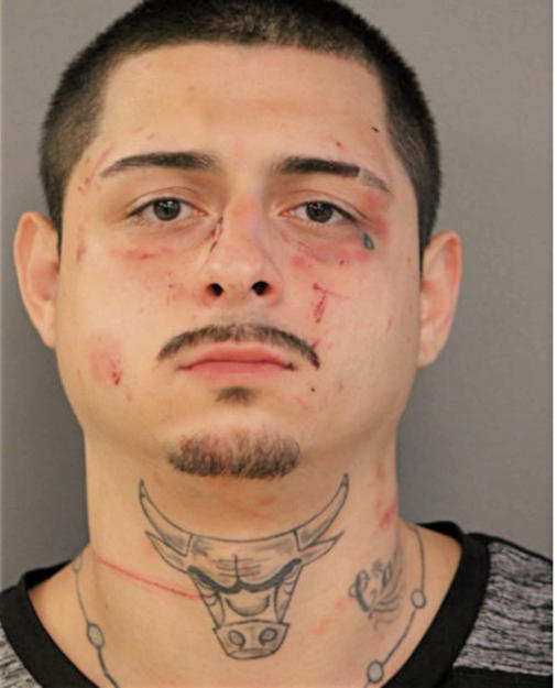 VALDEZ ARRON, Cook County, Illinois