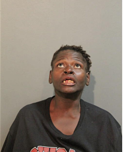 LISA L BOOSE, Cook County, Illinois