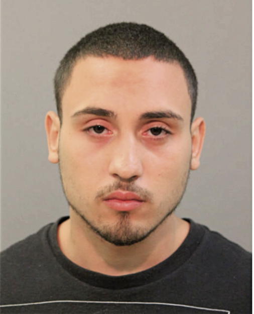 LUIS BRACERO, Cook County, Illinois