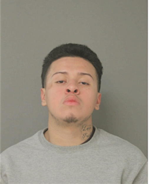 LUIS A CANO-PADILLA, Cook County, Illinois