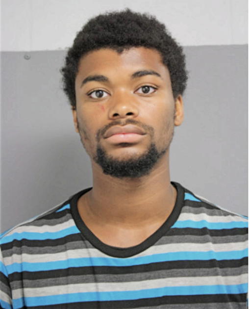 MICHAEL H CATTON, Cook County, Illinois