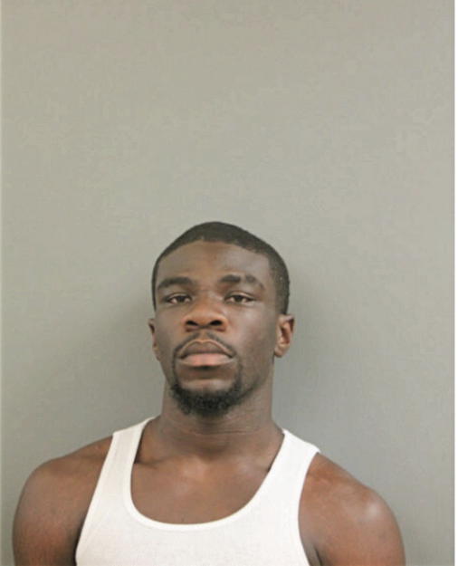 BRANDON J DEWALT, Cook County, Illinois