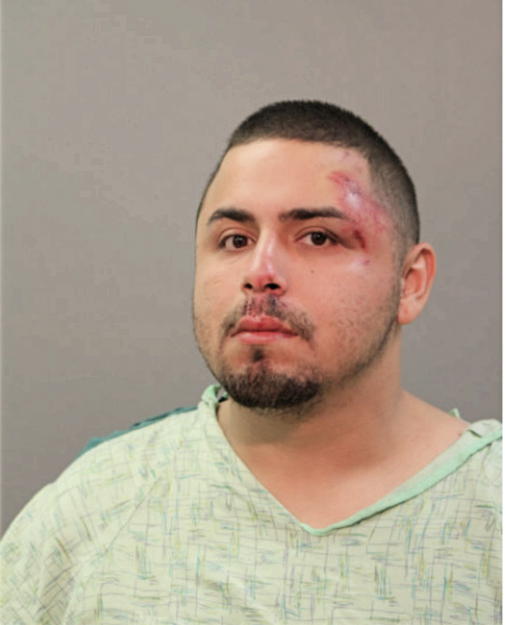 FERNANDO R ESCOBEDO, Cook County, Illinois